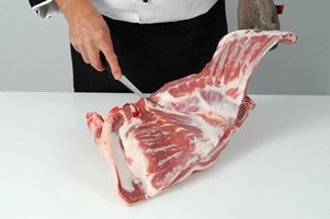 Meat Cut Spec Step 2